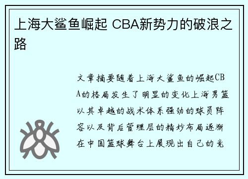 上海大鲨鱼崛起 CBA新势力的破浪之路